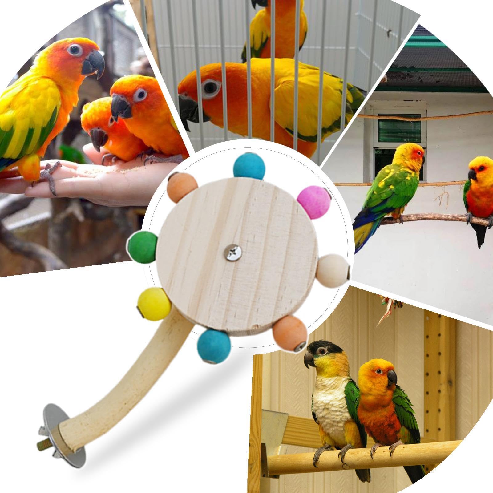 Amazon.co.jp: 止まり木スタンド オウムのおもちゃ、回転する鳥の